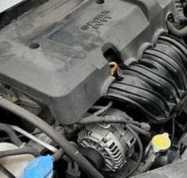 قبل التنظيف بالبخار